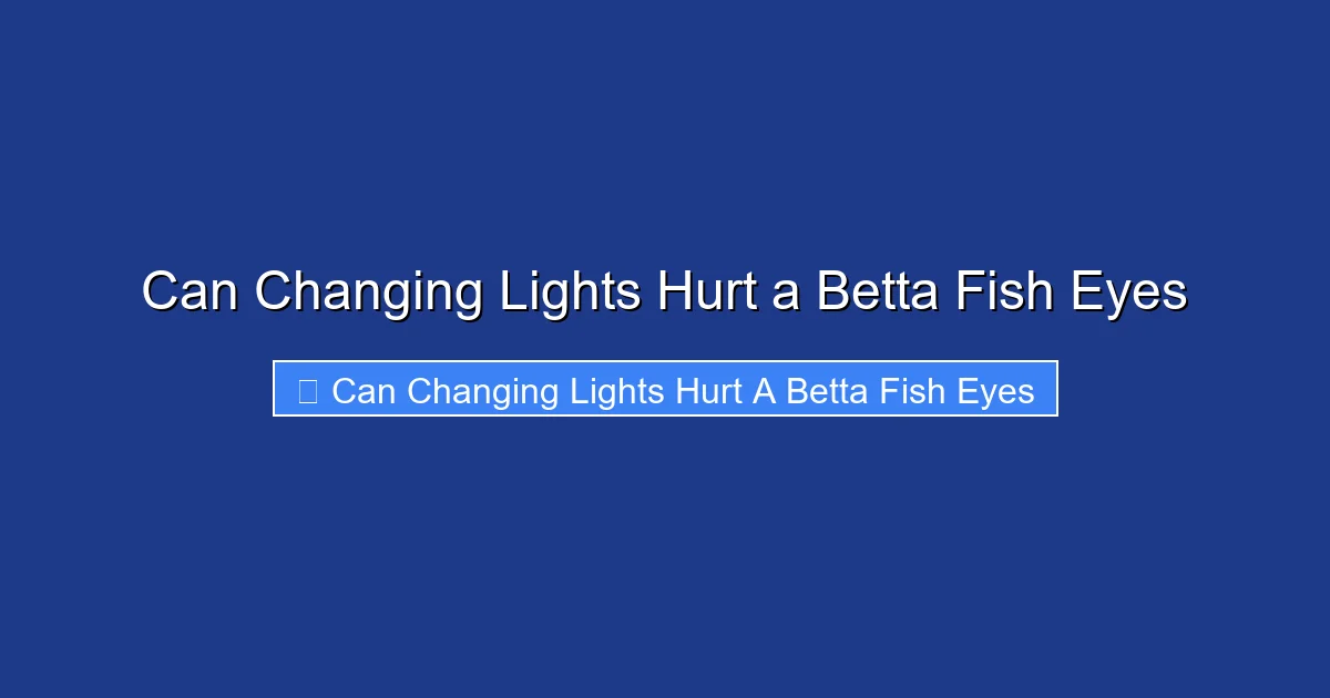 Can Changing Lights Hurt a Betta Fish Eyes