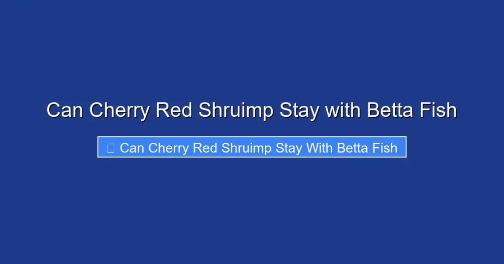Can Cherry Red Shruimp Stay with Betta Fish