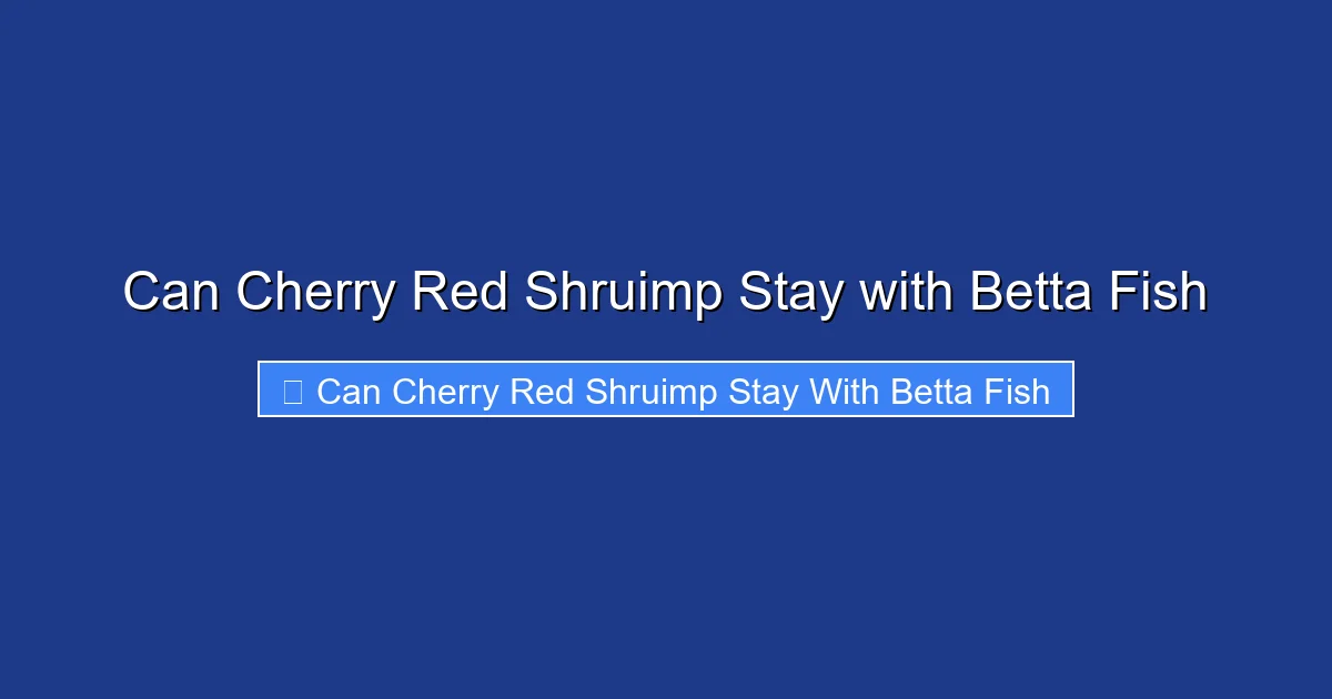 Can Cherry Red Shruimp Stay with Betta Fish