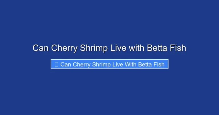 Can Cherry Shrimp Live with Betta Fish