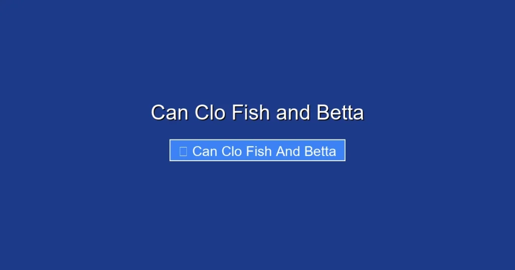 Can Clo Fish and Betta
