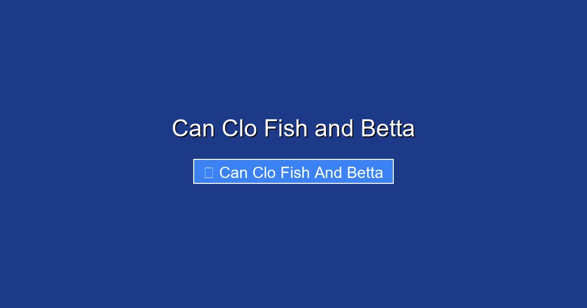 Can Clo Fish and Betta