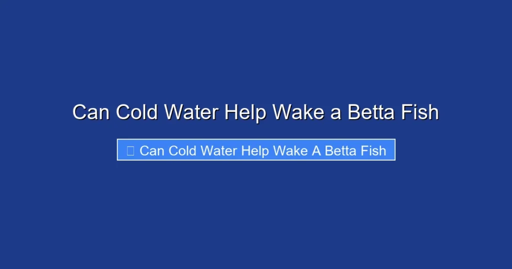 Can Cold Water Help Wake a Betta Fish