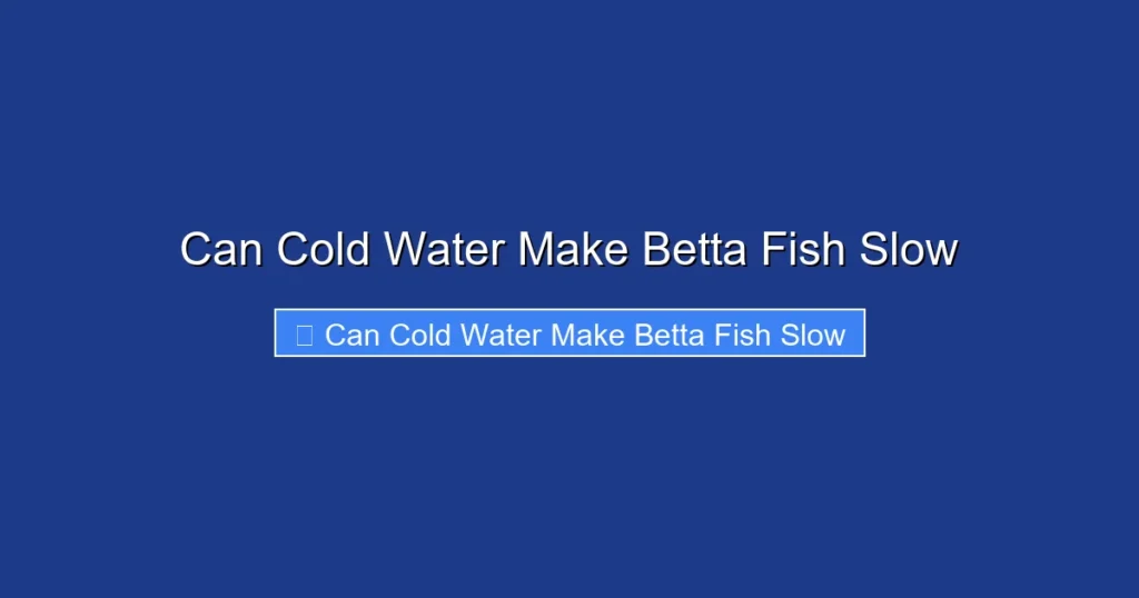 Can Cold Water Make Betta Fish Slow