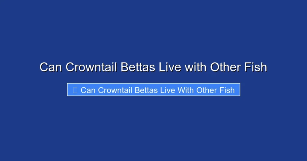 Can Crowntail Bettas Live with Other Fish