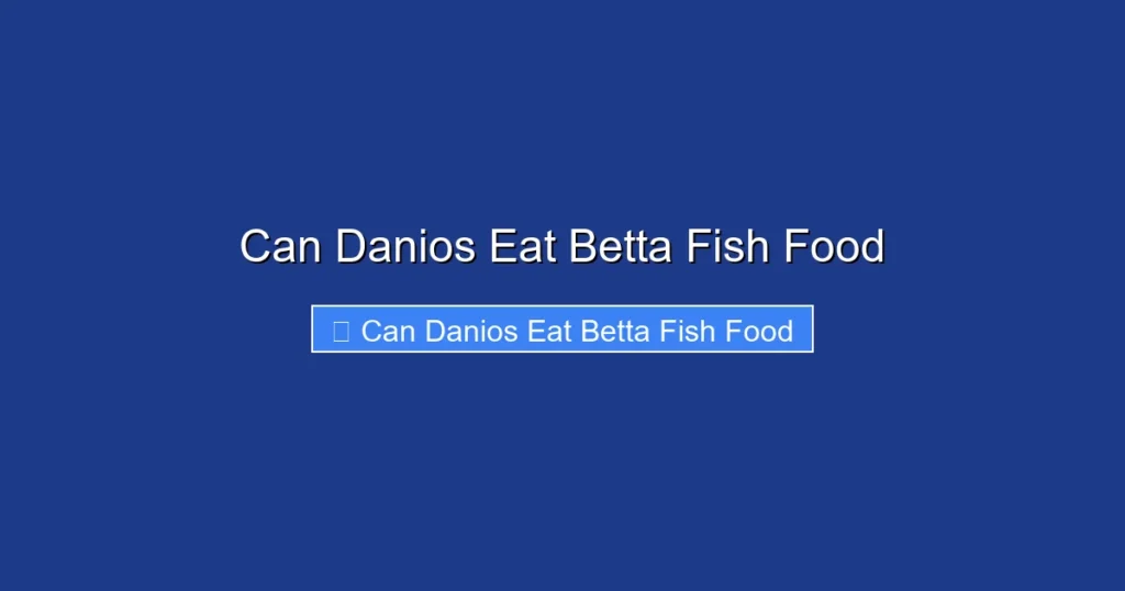 Can Danios Eat Betta Fish Food