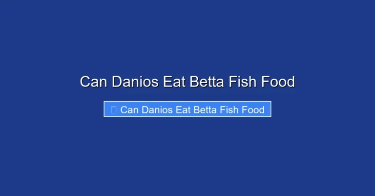 Can Danios Eat Betta Fish Food