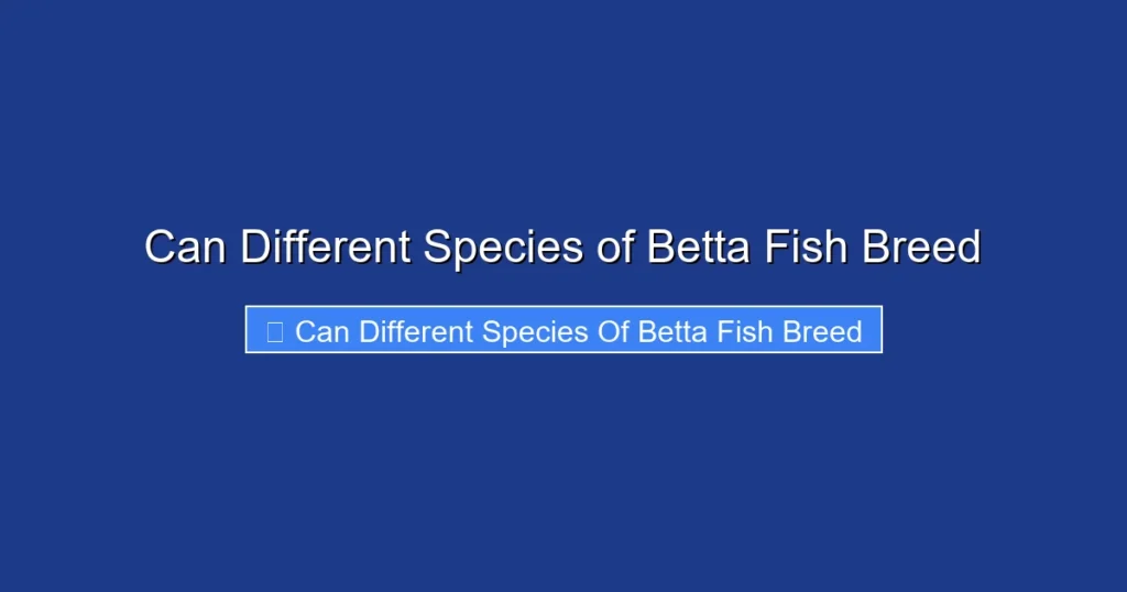 Can Different Species of Betta Fish Breed