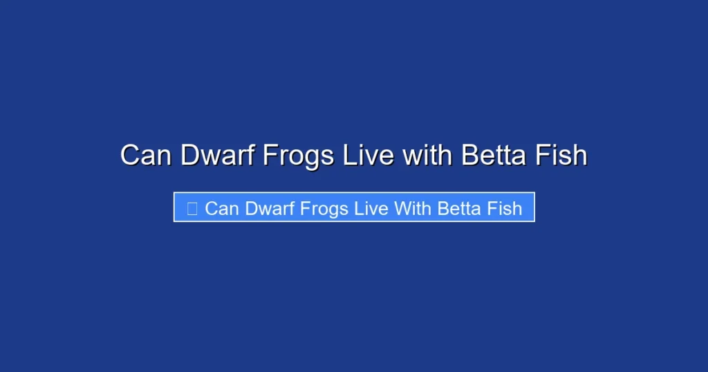 Can Dwarf Frogs Live with Betta Fish