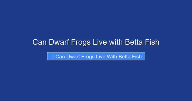 Can Dwarf Frogs Live with Betta Fish