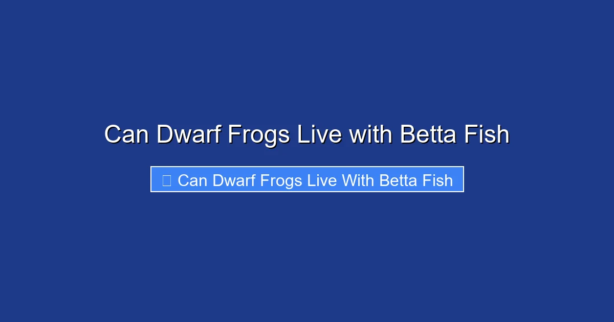 Can Dwarf Frogs Live with Betta Fish
