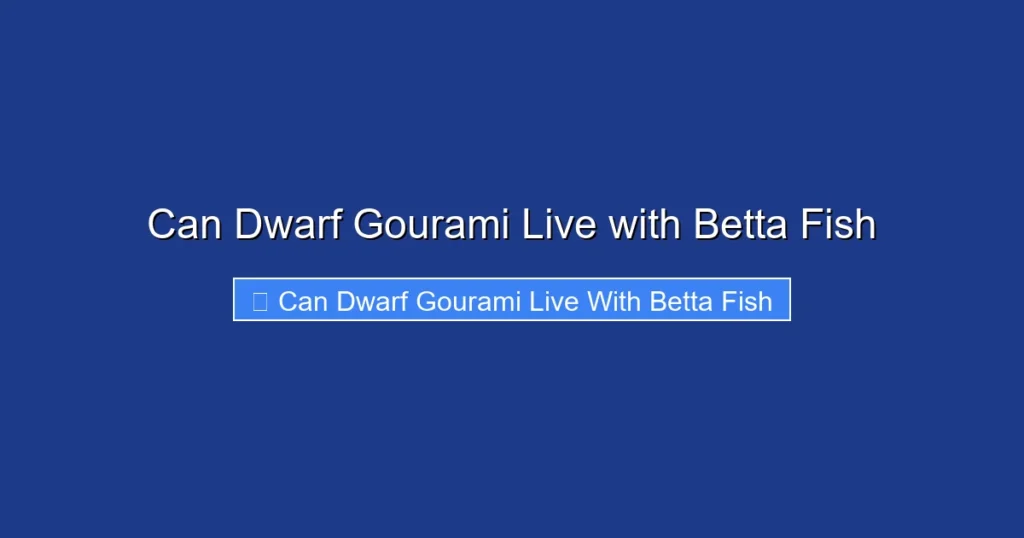 Can Dwarf Gourami Live with Betta Fish