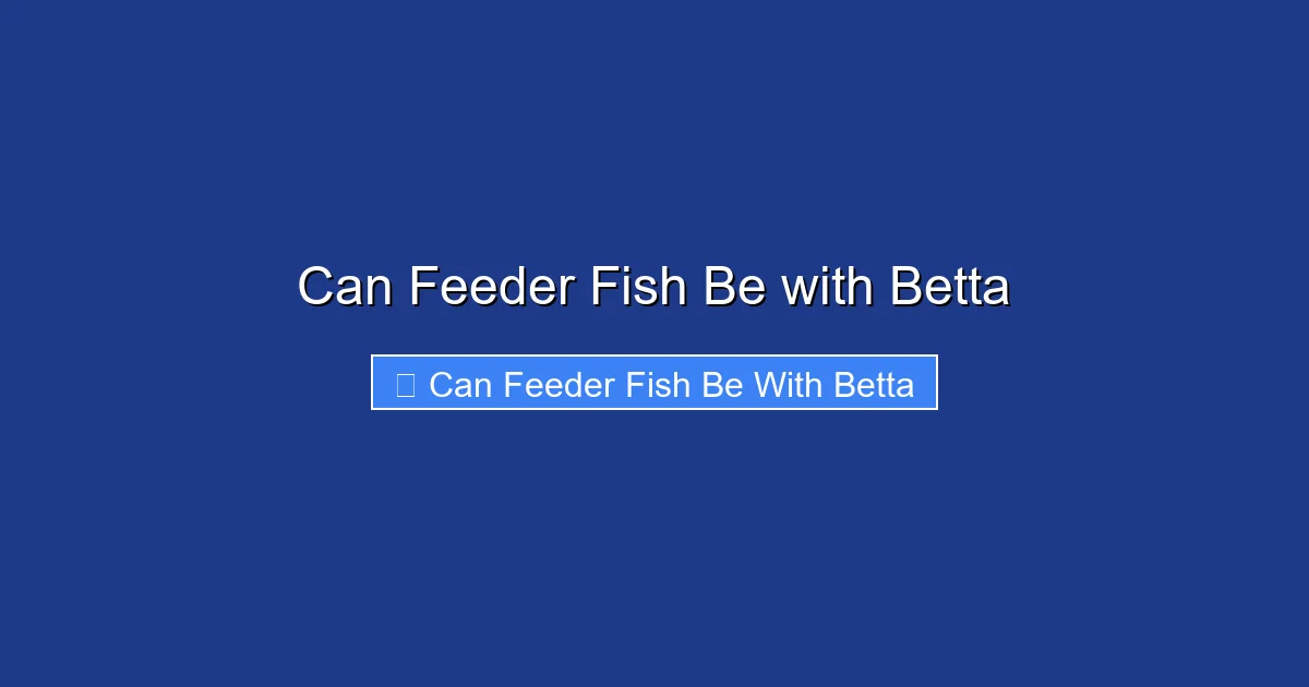 Can Feeder Fish Be with Betta
