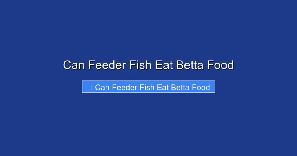 Can Feeder Fish Eat Betta Food