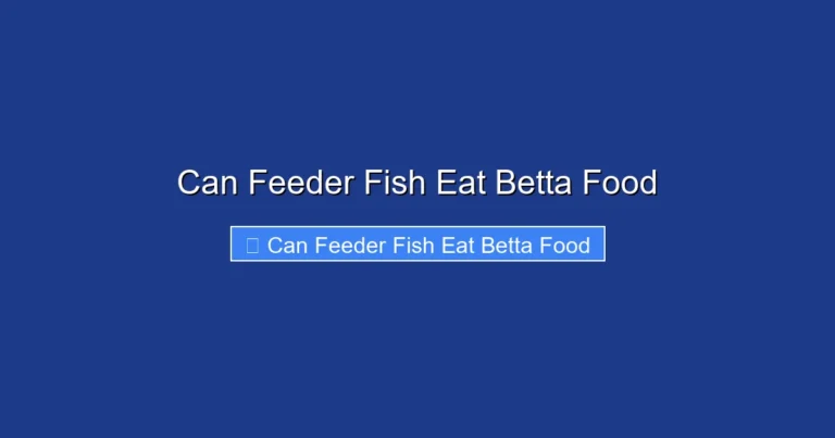 Can Feeder Fish Eat Betta Food
