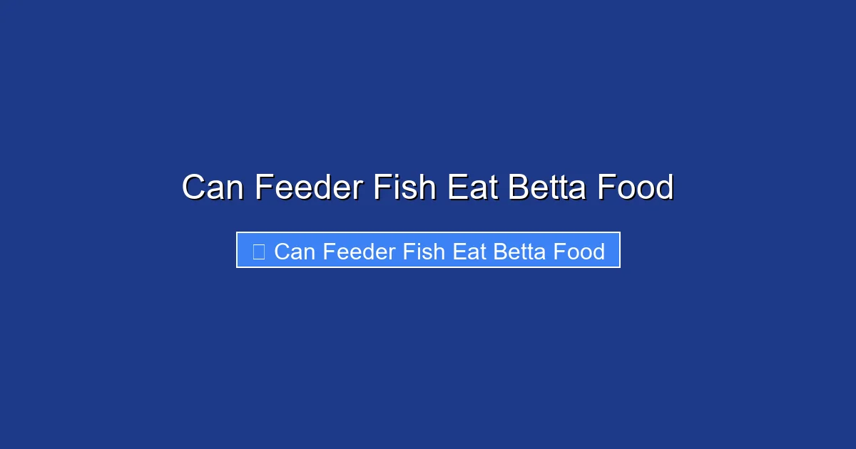 Can Feeder Fish Eat Betta Food