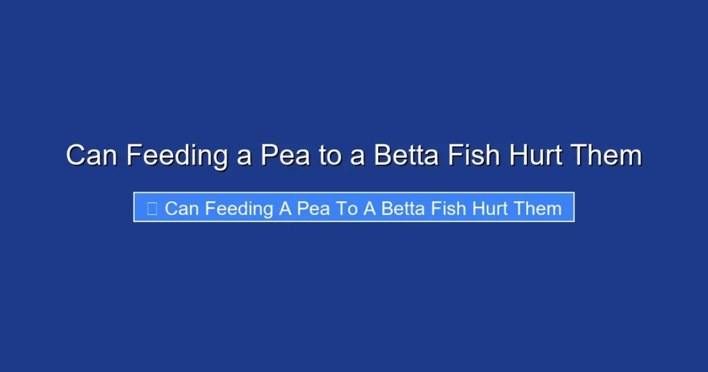 Can Feeding a Pea to a Betta Fish Hurt Them