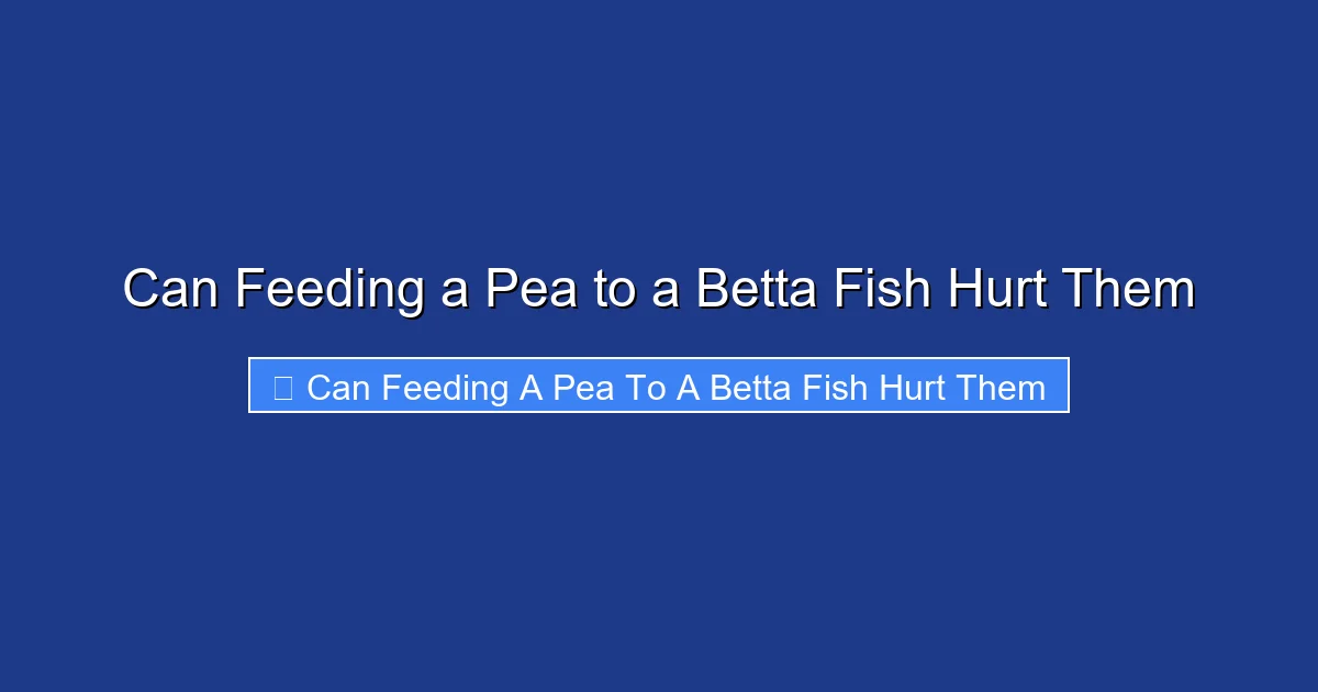 Can Feeding a Pea to a Betta Fish Hurt Them
