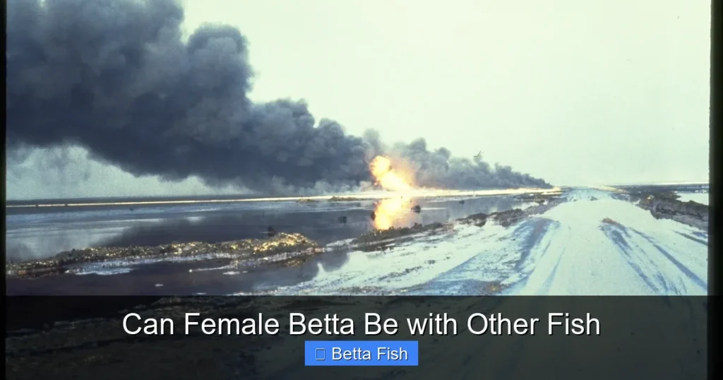 Can Female Betta Be with Other Fish