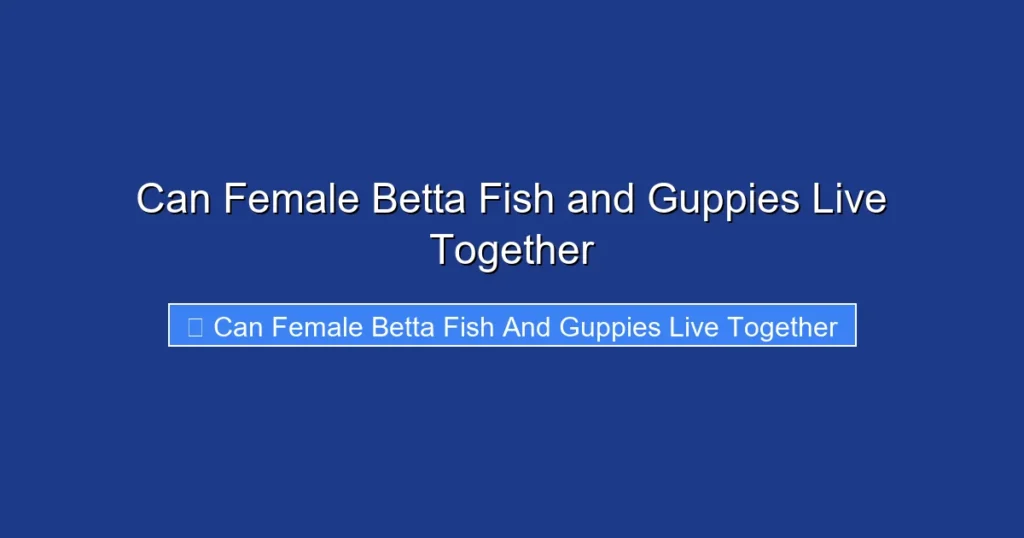 Can Female Betta Fish and Guppies Live Together