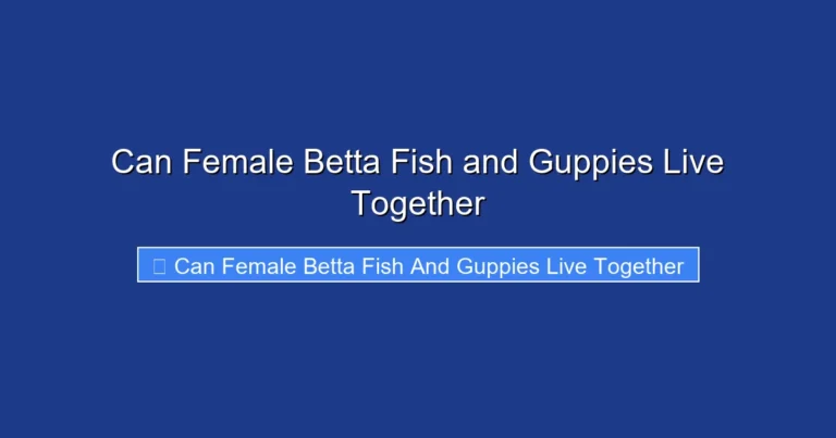 Can Female Betta Fish and Guppies Live Together