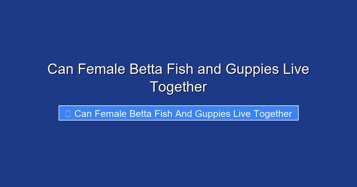 Can Female Betta Fish and Guppies Live Together