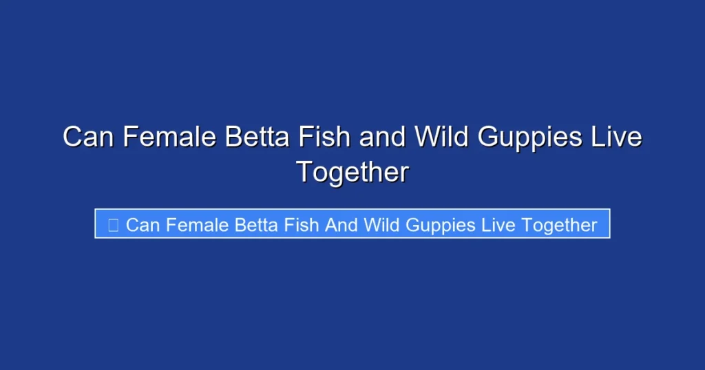 Can Female Betta Fish and Wild Guppies Live Together