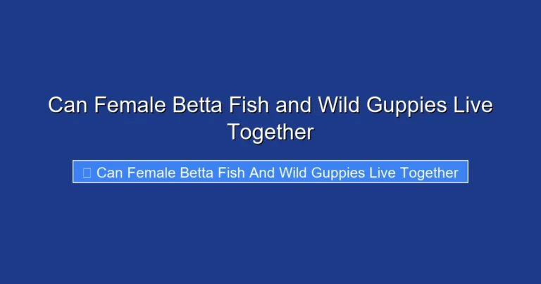 Can Female Betta Fish and Wild Guppies Live Together