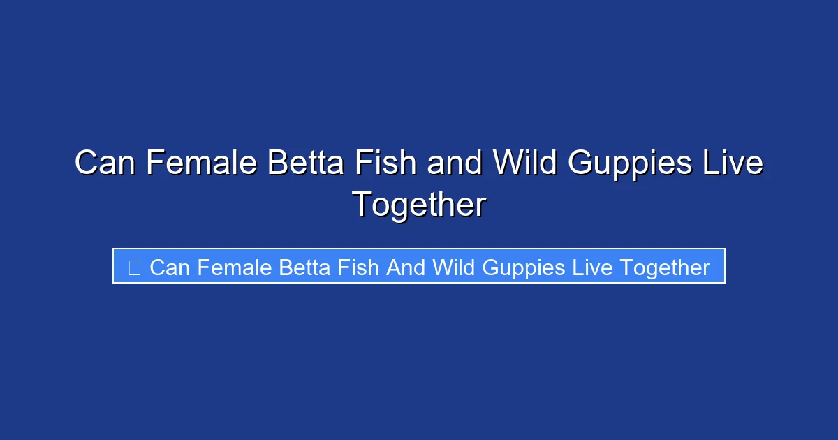 Can Female Betta Fish and Wild Guppies Live Together