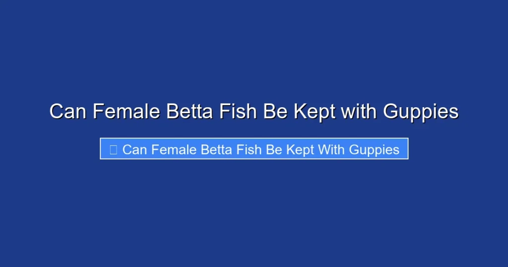 Can Female Betta Fish Be Kept with Guppies