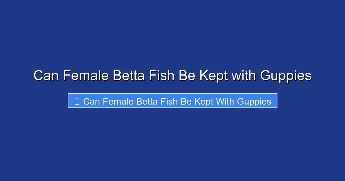 Can Female Betta Fish Be Kept with Guppies