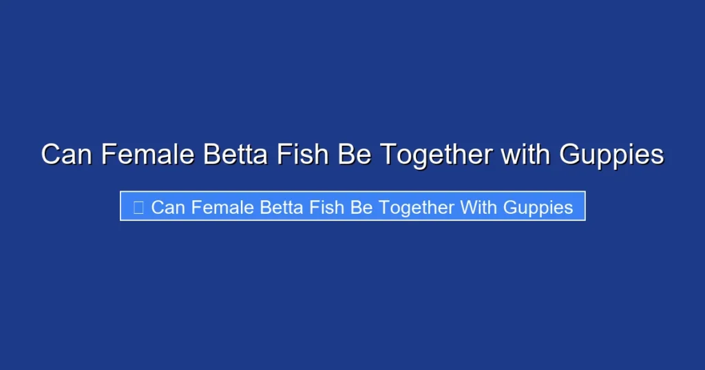 Can Female Betta Fish Be Together with Guppies