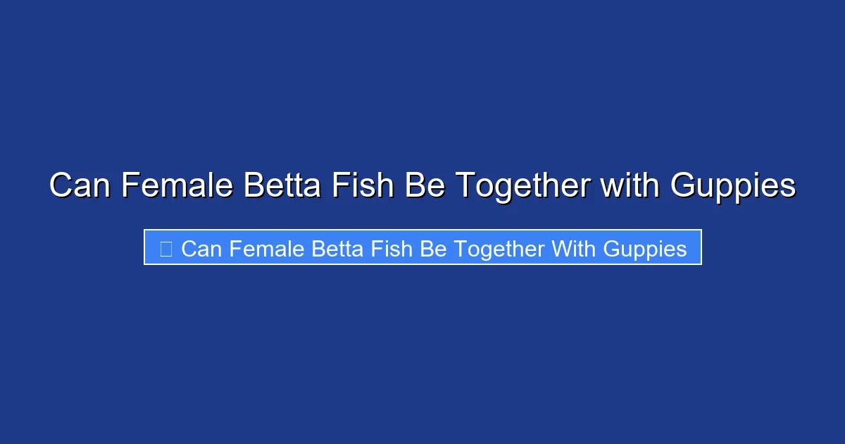 Can Female Betta Fish Be Together with Guppies