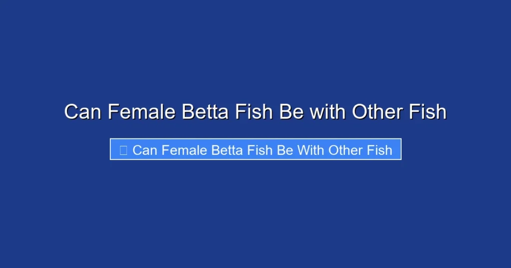Can Female Betta Fish Be with Other Fish