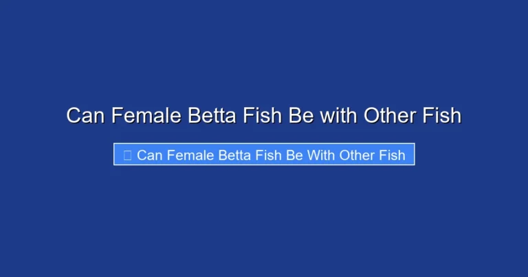 Can Female Betta Fish Be with Other Fish