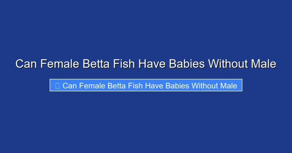 Can Female Betta Fish Have Babies Without Male
