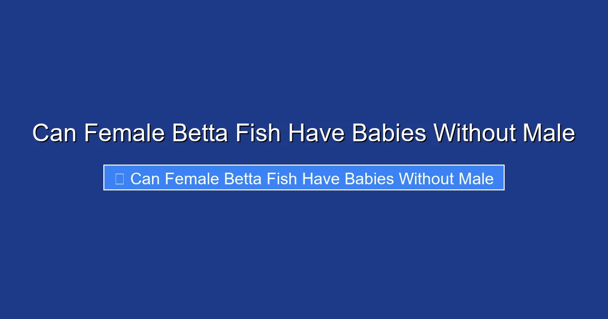 Can Female Betta Fish Have Babies Without Male