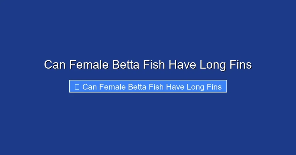 Can Female Betta Fish Have Long Fins