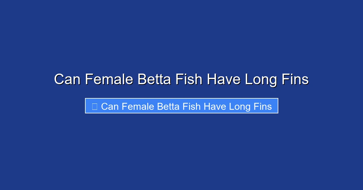 Can Female Betta Fish Have Long Fins