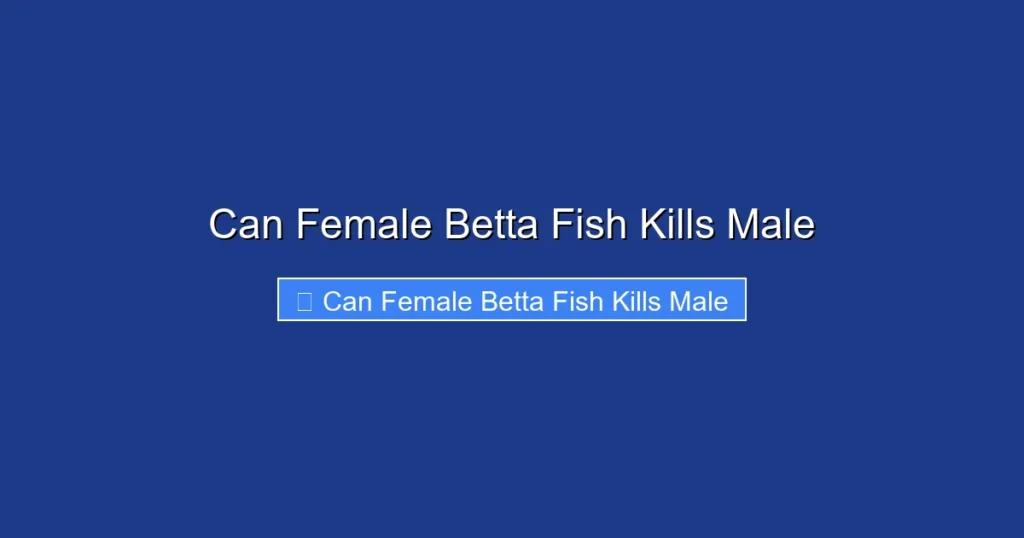 Can Female Betta Fish Kills Male