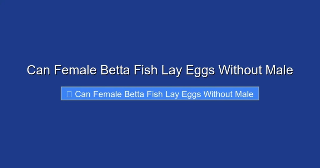 Can Female Betta Fish Lay Eggs Without Male
