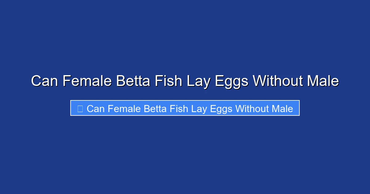 Can Female Betta Fish Lay Eggs Without Male
