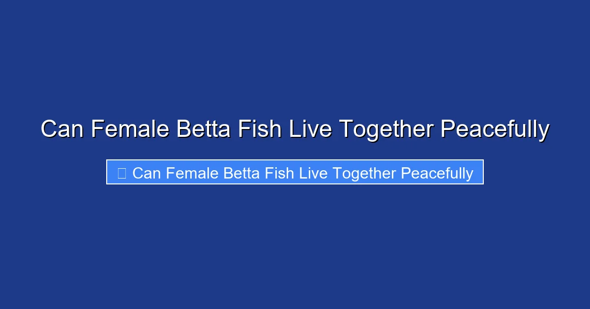 Can Female Betta Fish Live Together Peacefully