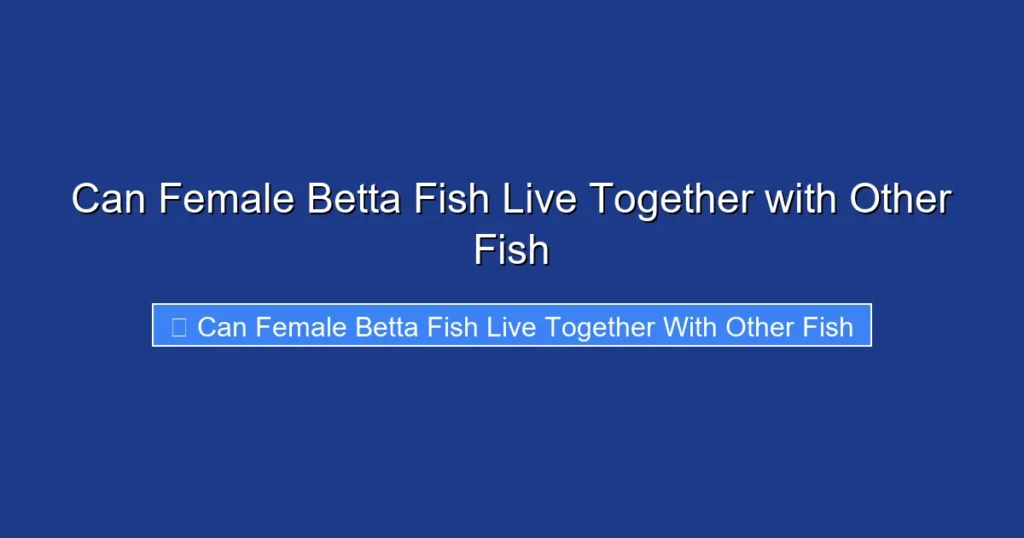 Can Female Betta Fish Live Together with Other Fish