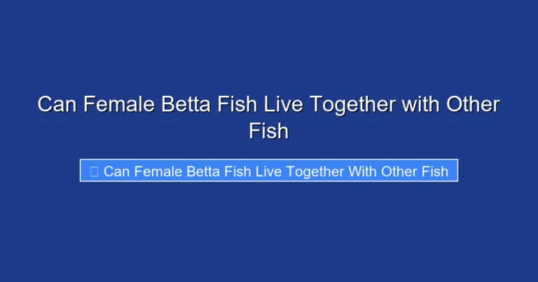 Can Female Betta Fish Live Together with Other Fish