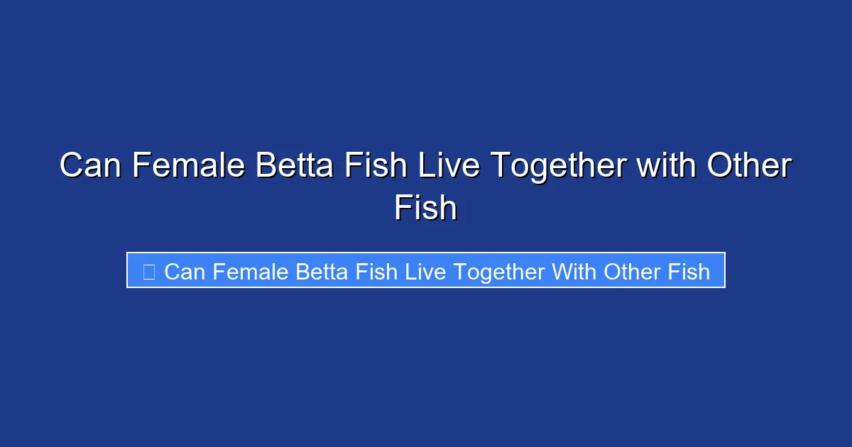 Can Female Betta Fish Live Together with Other Fish