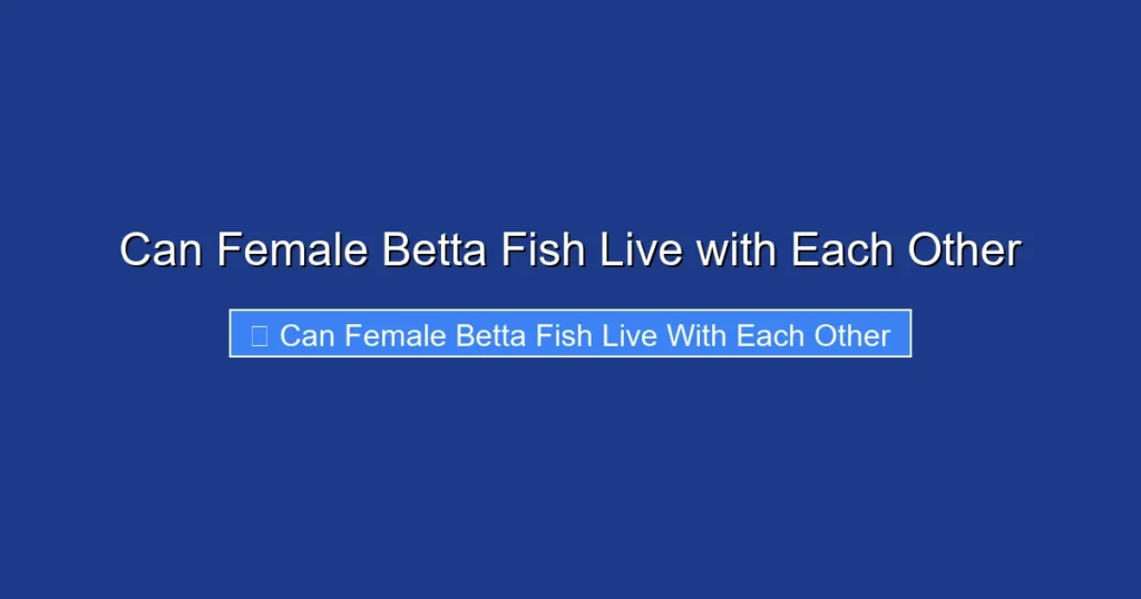Can Female Betta Fish Live with Each Other