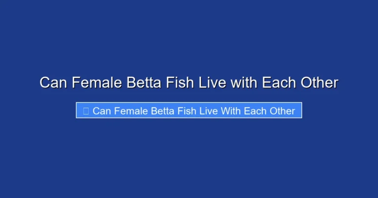 Can Female Betta Fish Live with Each Other