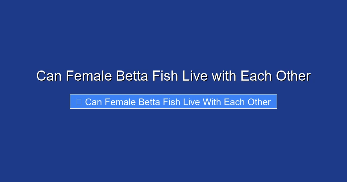 Can Female Betta Fish Live with Each Other