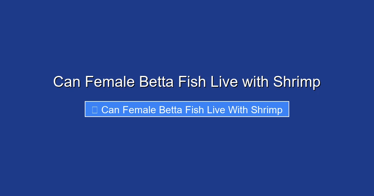Can Female Betta Fish Live with Shrimp